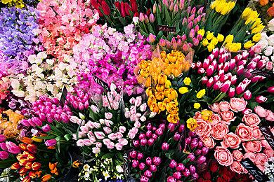 《Dungeon Stalkers》全球测试开始，签到赠送稀有角色！  